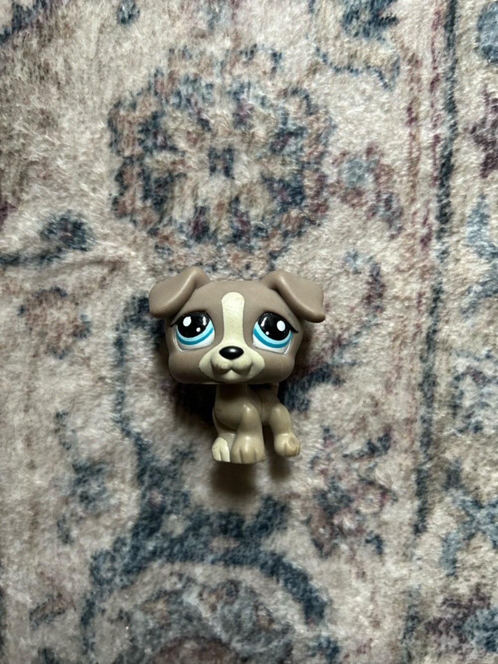 LPS Littlest Pet Shop Jack Russell Gray Terrier Dog #1832
